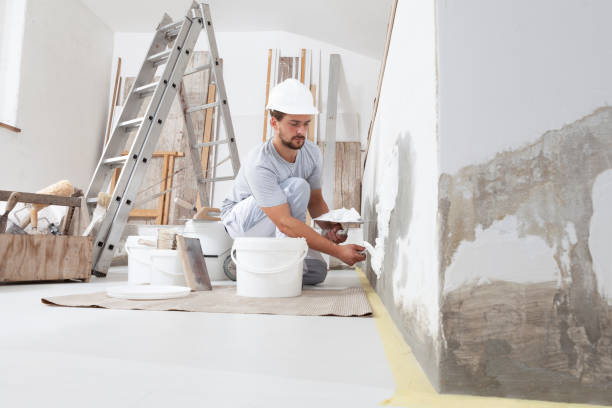 Best Mold Remediation for Vacation Homes  in Rosewood Heights, IL