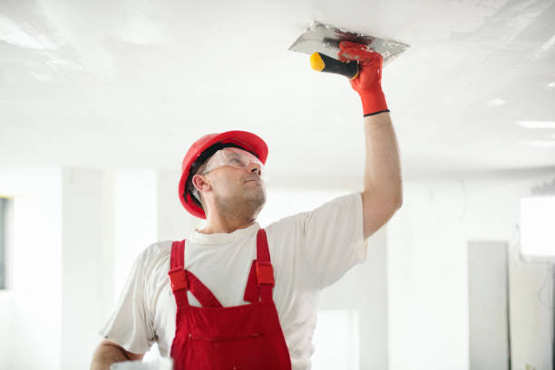Best Post-Construction Mold Inspection  in Rosewood Heights, IL